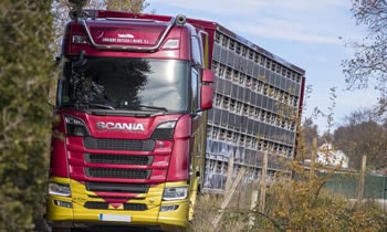 Control de Temperatura GPS Animales